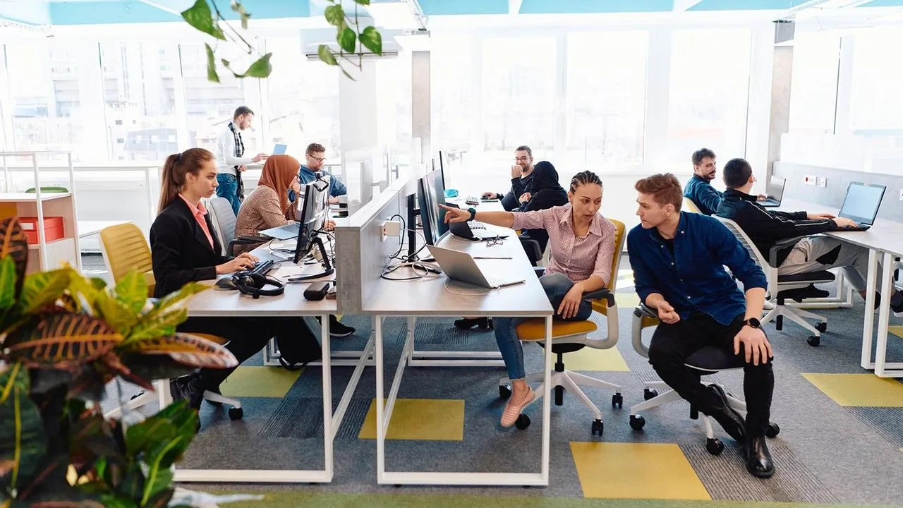 Enterprise Software Solutions